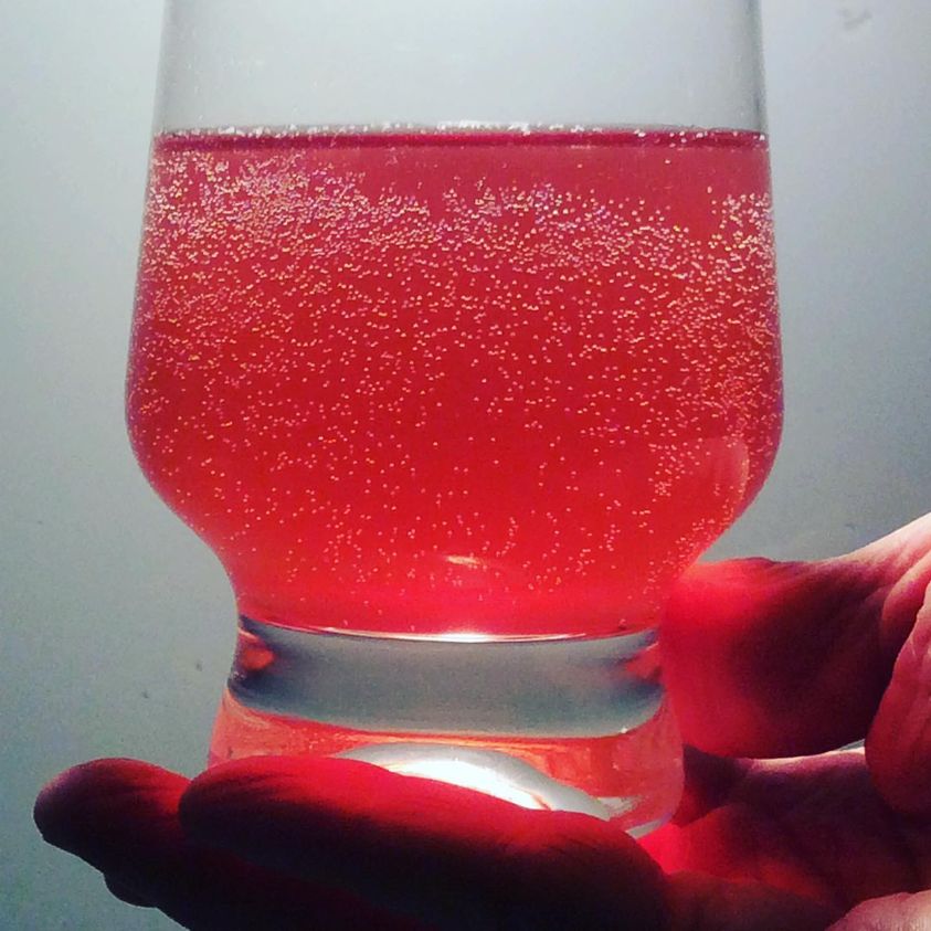 Probiotic Drinks Workshop : Saturday 16th August 2025 : 11 am - 12.30 pm