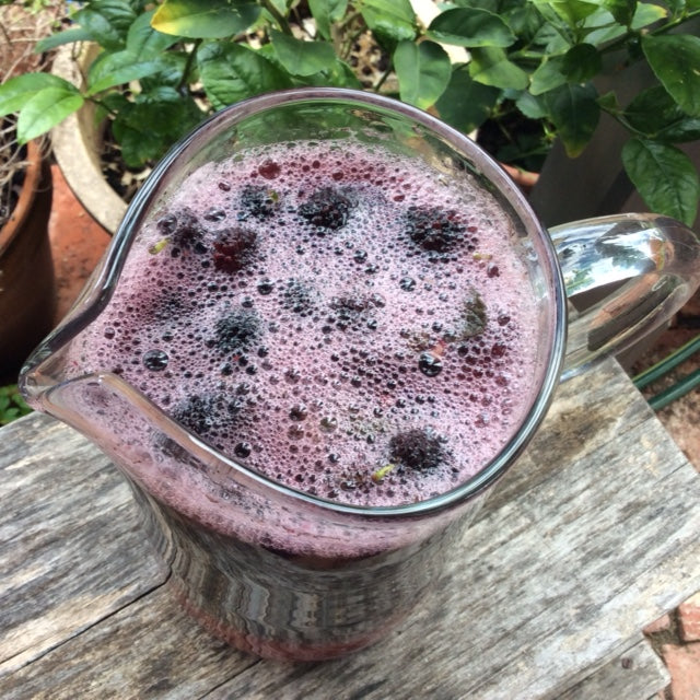 Probiotic Drinks Workshop : Saturday 16th August 2025 : 11 am - 12.30 pm