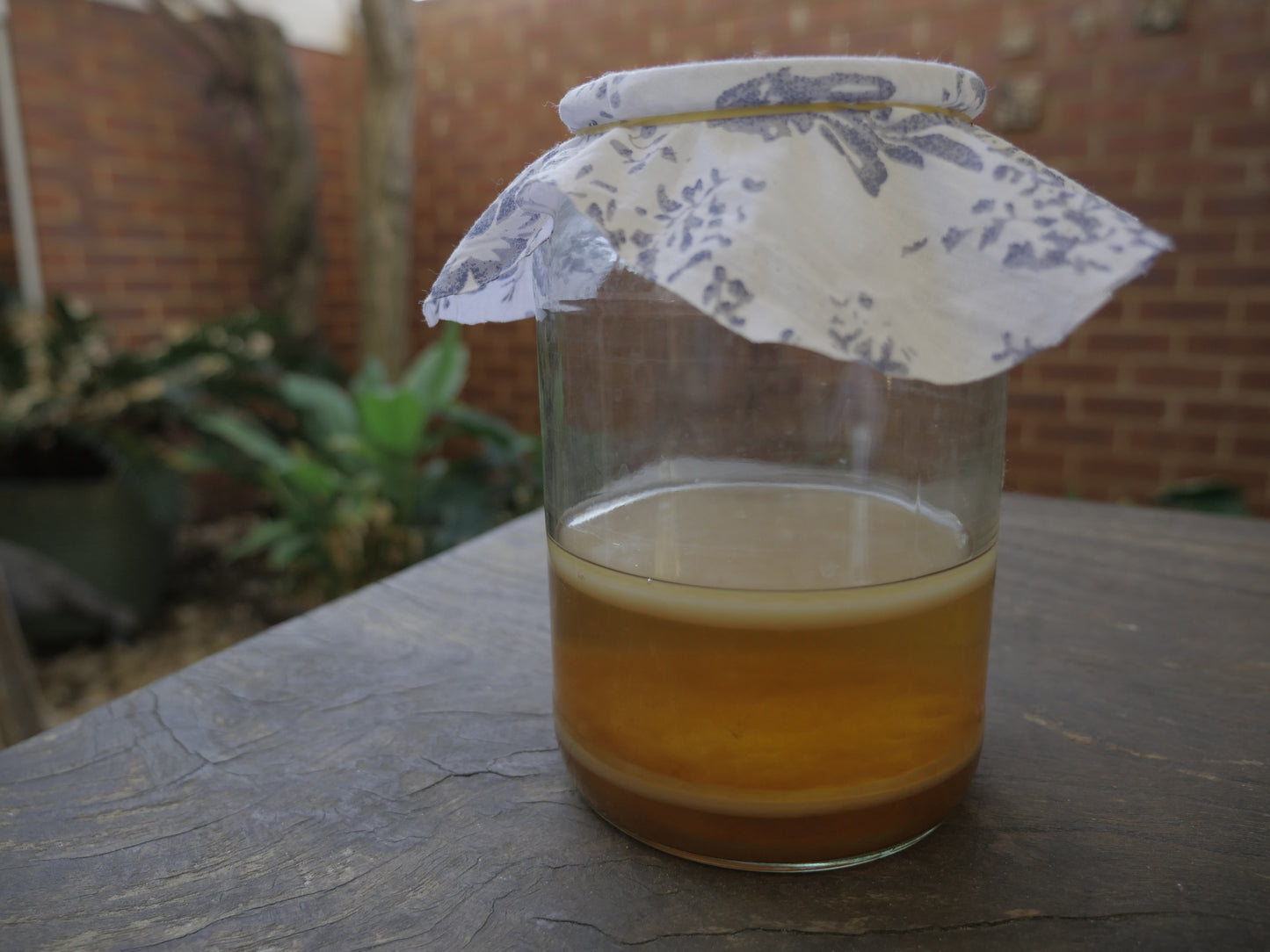 Probiotic Drinks Workshop : Saturday 16th August 2025 : 11 am - 12.30 pm