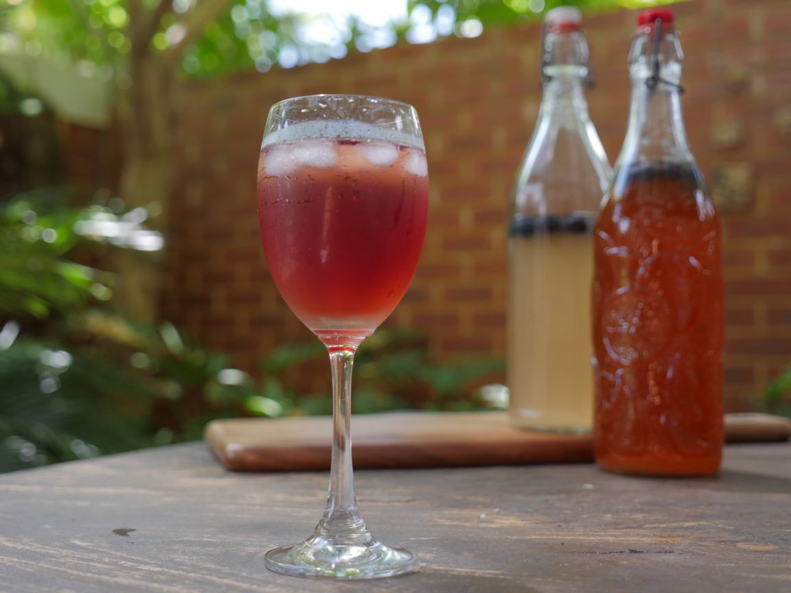 Probiotic Drinks Workshop : Saturday 16th August 2025 : 11 am - 12.30 pm
