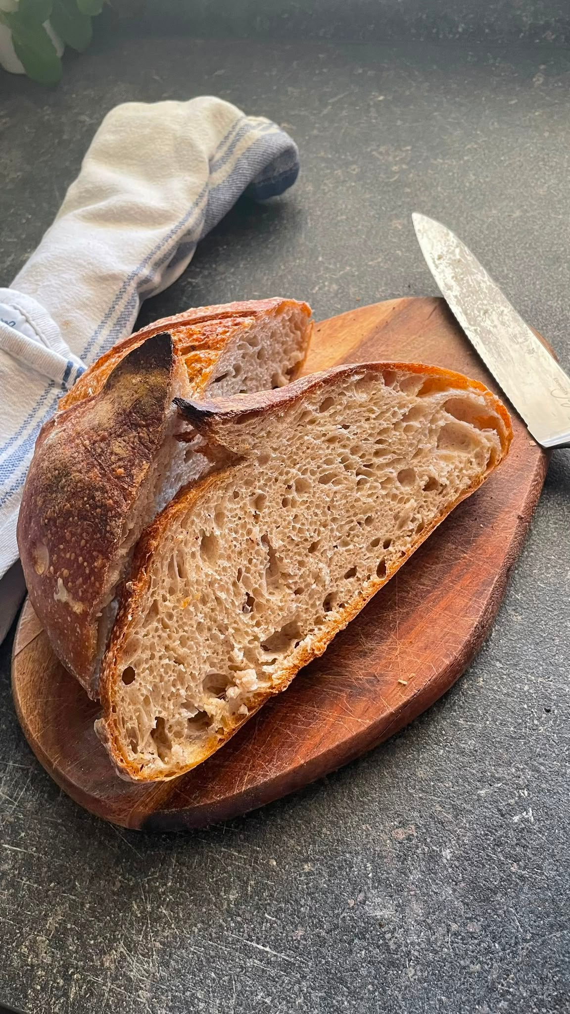 Sourdough and Sauerkraut Workshop - Coming Soon