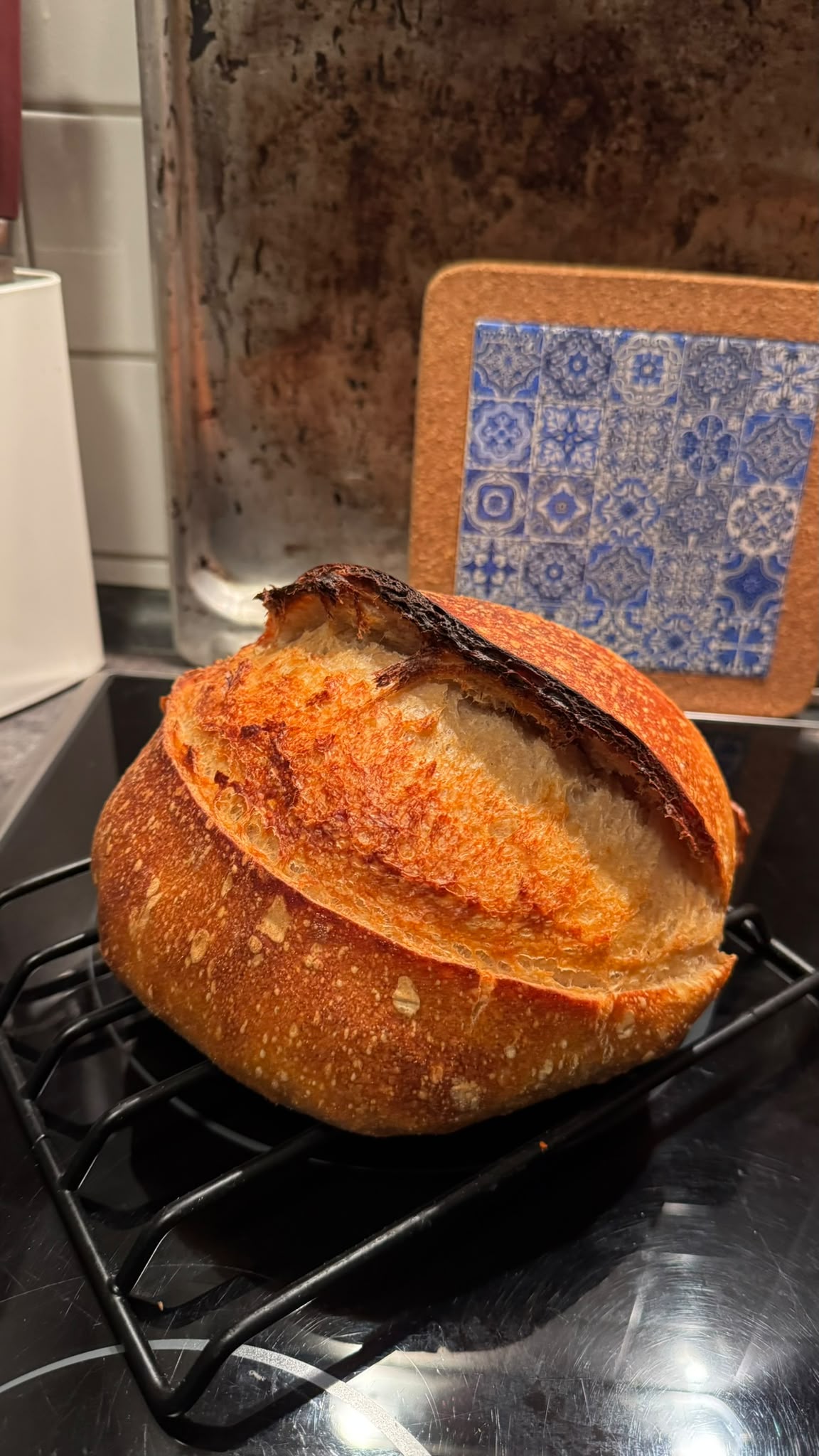 Sourdough and Sauerkraut Workshop - Coming Soon