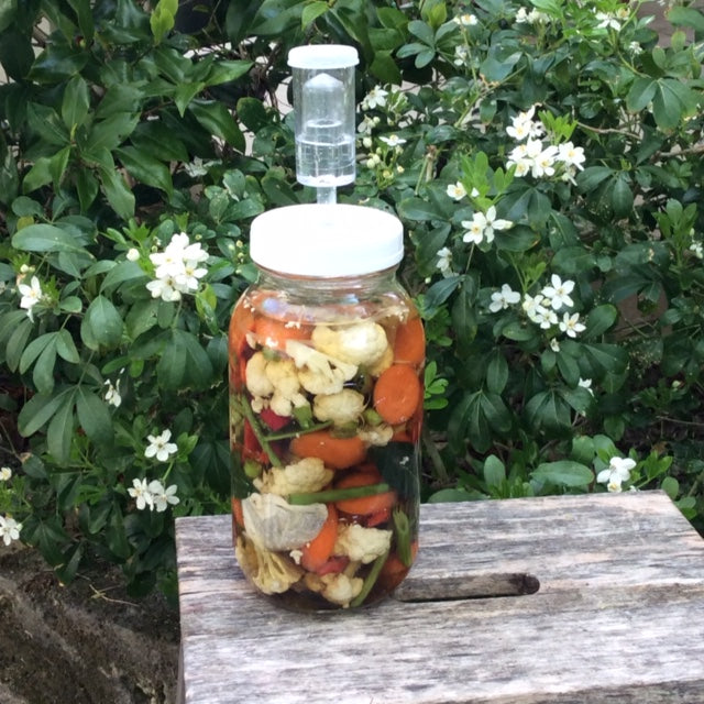 Wide Mouth Pickler Fermenting Jars (700 mls - 2 litres)