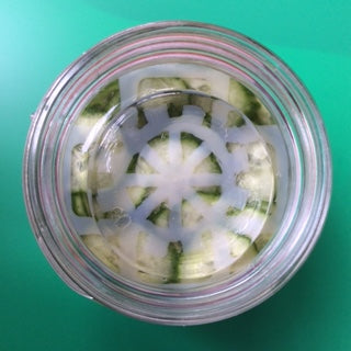 Viscodisc Canning/Fermenting Buddies