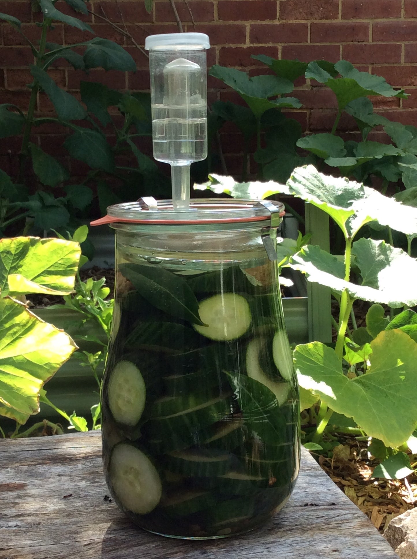 Weck Fermenting Jar