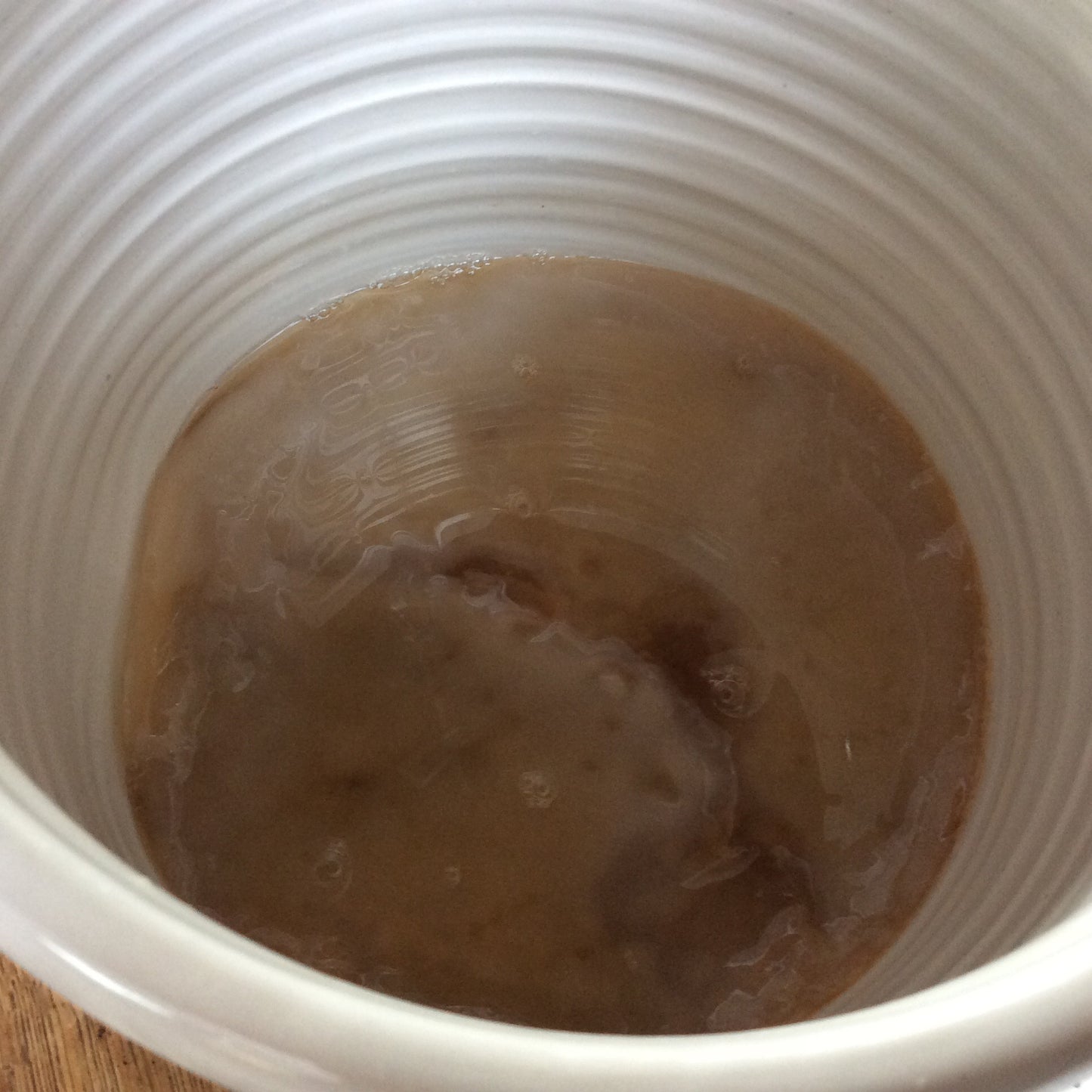 Kombucha Scoby (Tibetan)