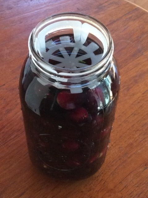 Wide Mouth Pickler Fermenting Jars (700 mls - 2 litres)