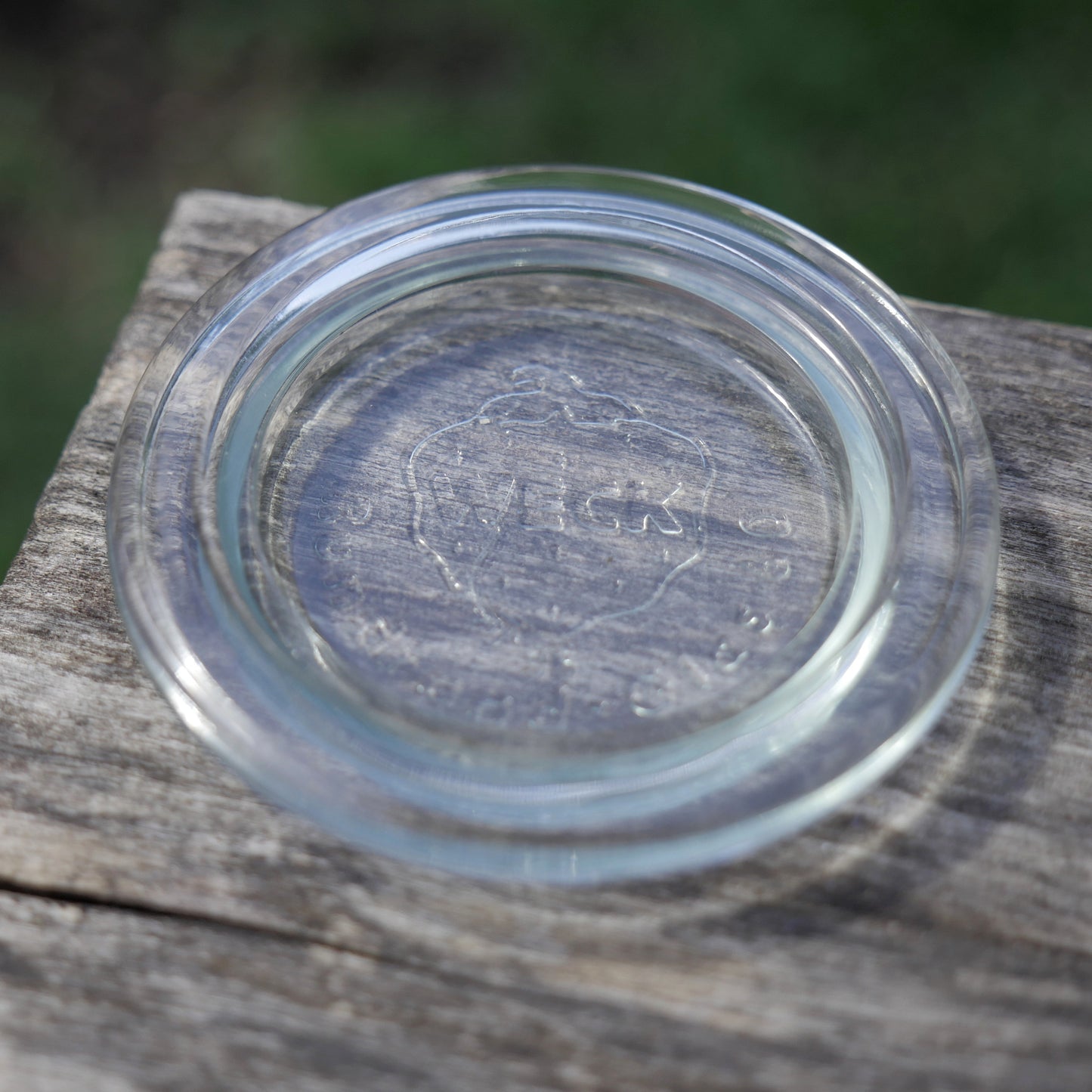 Weck Glass Lid/Dunking Weight